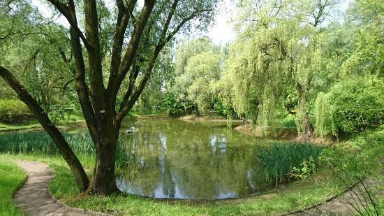 Miejski Ogród Botaniczny w Zabrzu